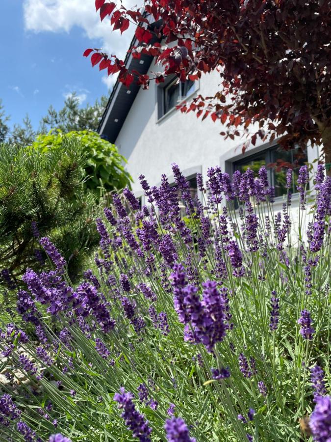 Hortus Apartament Z Klimatyzacja Boleslawiec  Ngoại thất bức ảnh