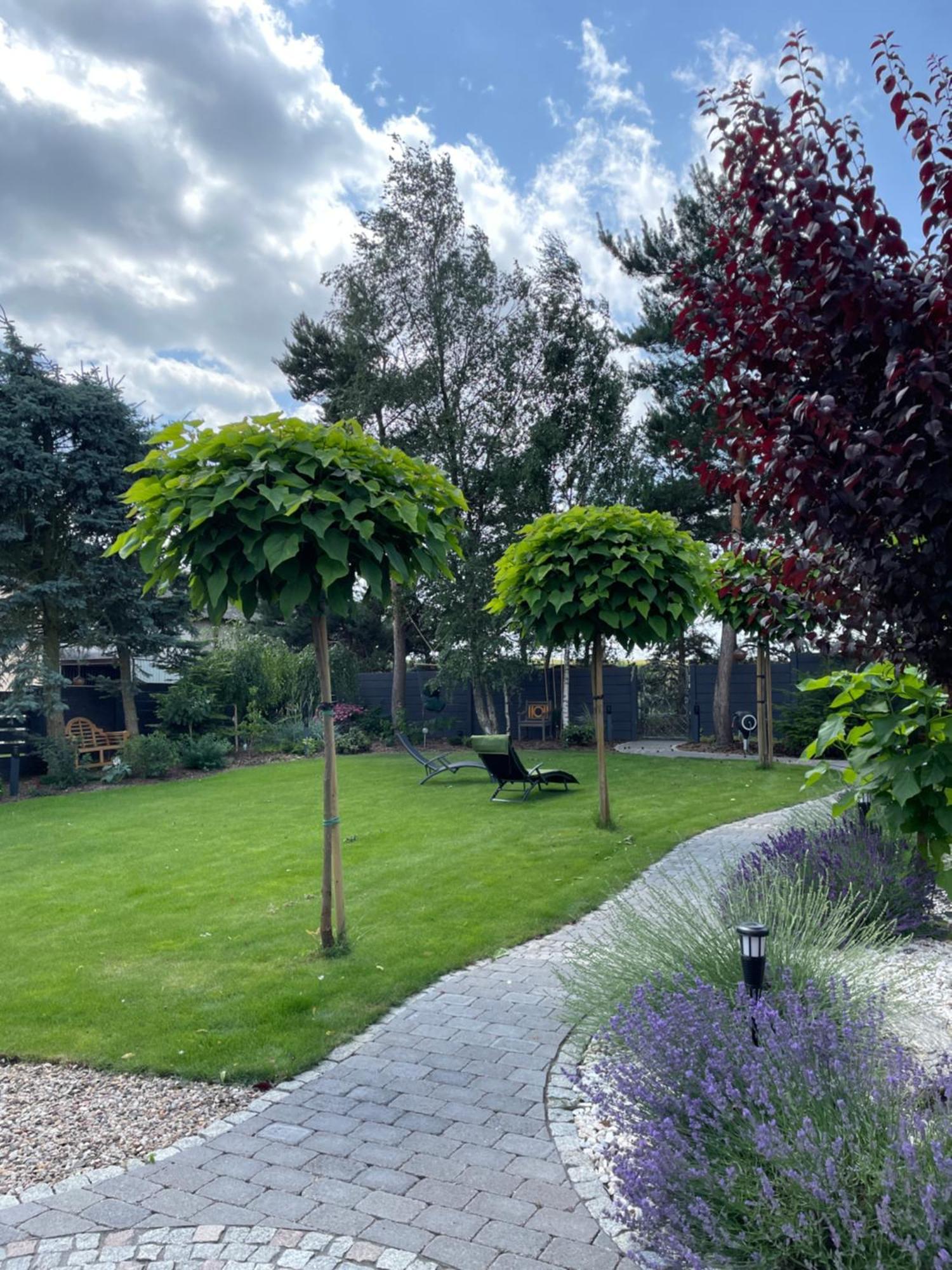 Hortus Apartament Z Klimatyzacja Boleslawiec  Ngoại thất bức ảnh