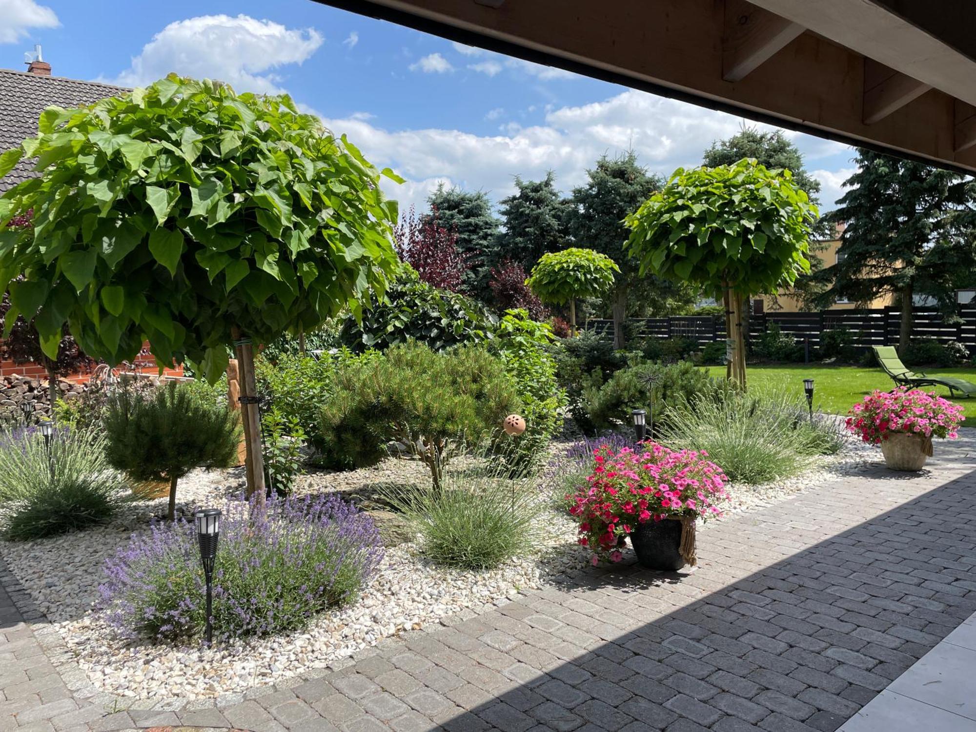 Hortus Apartament Z Klimatyzacja Boleslawiec  Ngoại thất bức ảnh