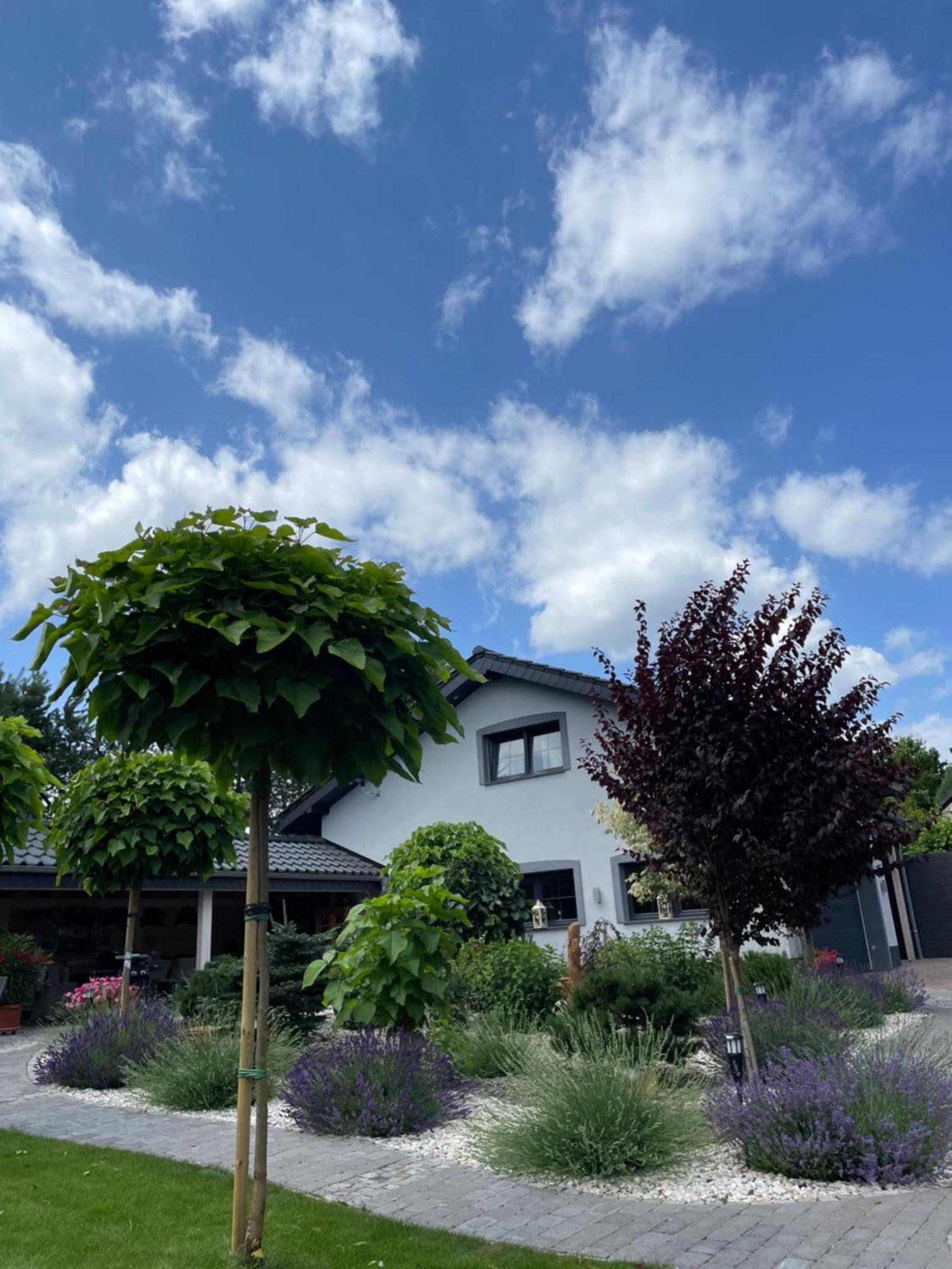 Hortus Apartament Z Klimatyzacja Boleslawiec  Ngoại thất bức ảnh